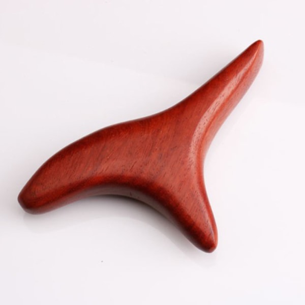 http://img2.shanghai-zhuting.com/img/img20160Body Trigeminal Ma