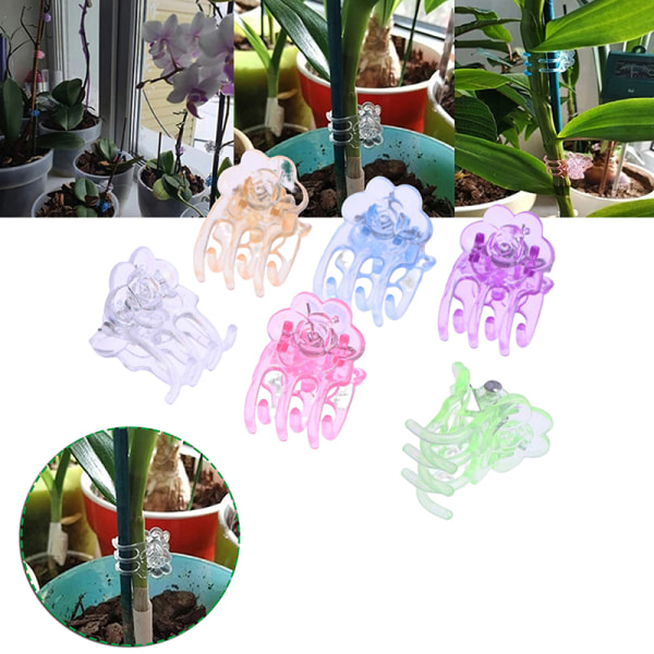 60 Stk/Pakke 6 Farger Phalaenopsis Spesialklemme Plastic Orchid Cl Multicolor