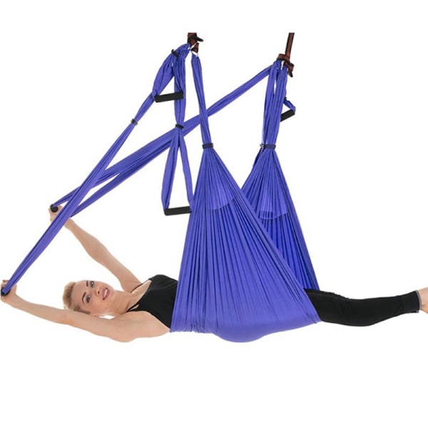 Yoga Swing Trapes - Gravity Yoga Hammock Inversion for Aerial Purple