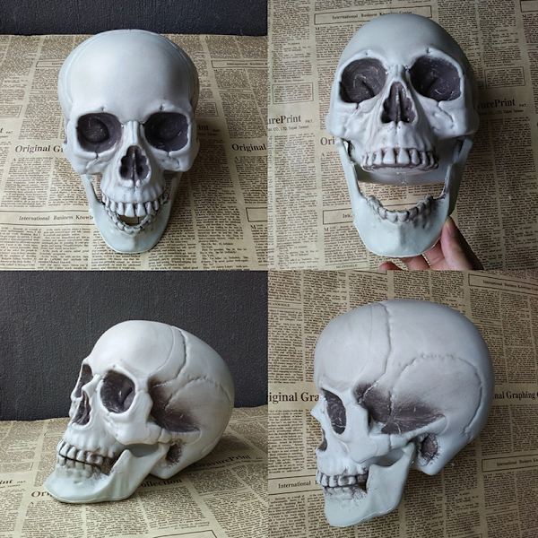 Halloween Kunstig Kranie Hoved Model Kranie Knogle Horror Skelet C 8*9*12cm