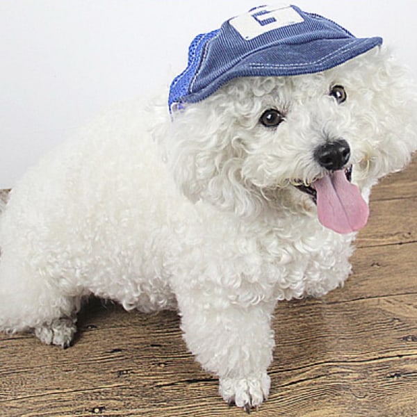 Köp husdjur hund hattar andas baseball sol keps med öron hål utomhus Blue M  | Fyndiq