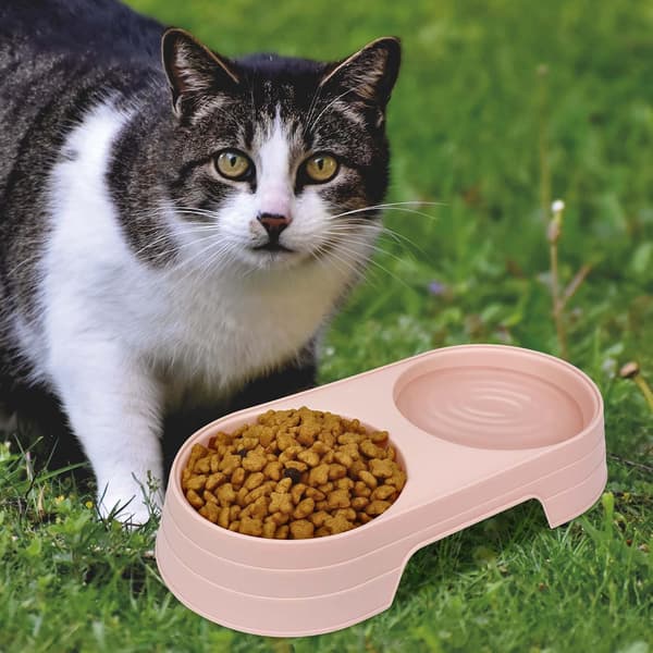 Sett med 2 dobbeltveggede plastskåler for kattunger og valper – Multifunksjonelle mat- og vannskåler for katter og hunder (rosa + lyseblå)