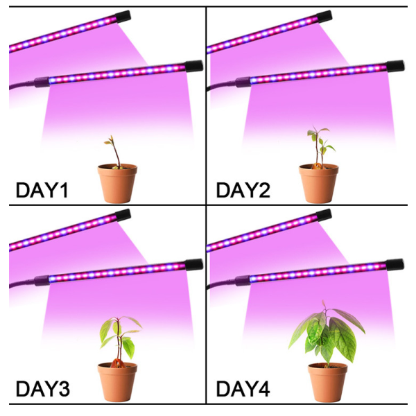 Växtlampa, LED-odlingsljus 360° trädgårdsbelysning, röd och blå fullspektrumodlingslampa med AUTO-timing - På/Av 3H/9H/12H (4 huvuden och 80 lysdioder)