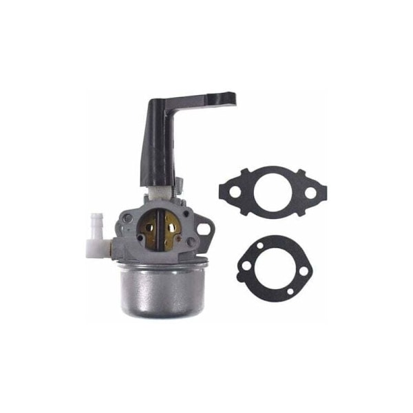 Briggs & Stratton 799866 Kaasutin Korvaa 796707/794304, Kaasutintyyppi Asennustiivisteellä---AD4-