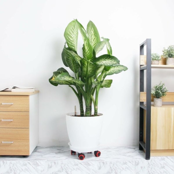 Rund blomvagn med hjul, medium plastförpackning, 4 stycken, plastblomvagn, transporthjälp för växter,