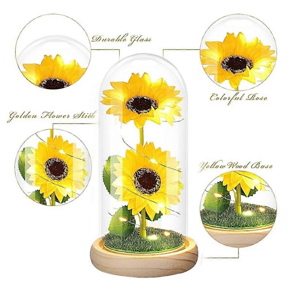 Preservert Blomst Glassdeksel Glødende Gullfolie Solsikke Valentinsdag Gave