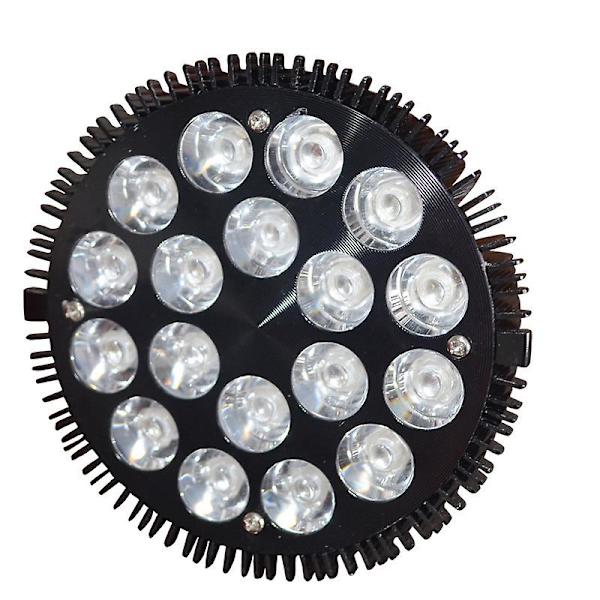 Vandgræs Lampe Akvarielampe Havtank Lampe Pool Lampe