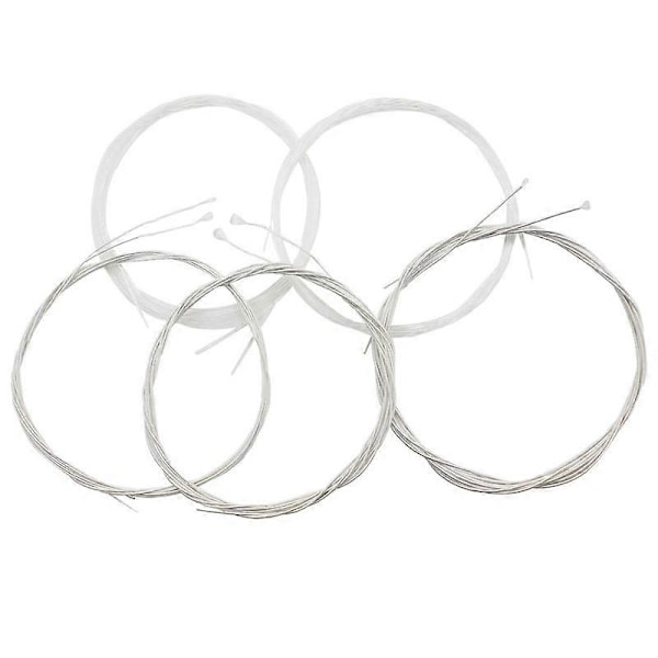 Nylon- ja kuparikielet oudille musiikin soittoon