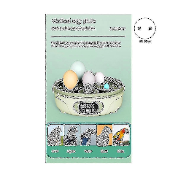 Automatisk inkubator för 6 ägg, liten hushållsinkubator, duvinkubator, EU-kontakt från Xiangchong Store