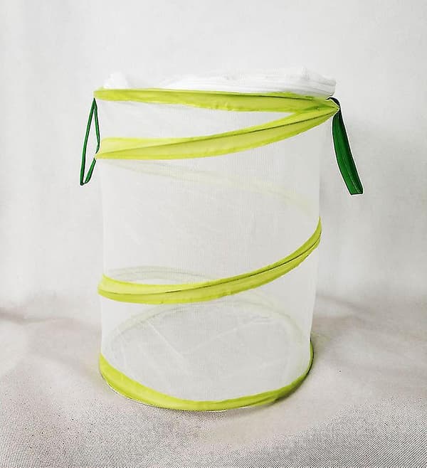 Foldbar Insekthabitatsbur med Klar Mesh, Bærbar, 1 stk.