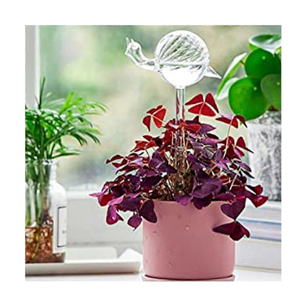 Snegleformet Glasplanteblomst Vandfodrer Automatisk Vanding Automatisk Drypvanding Enhed