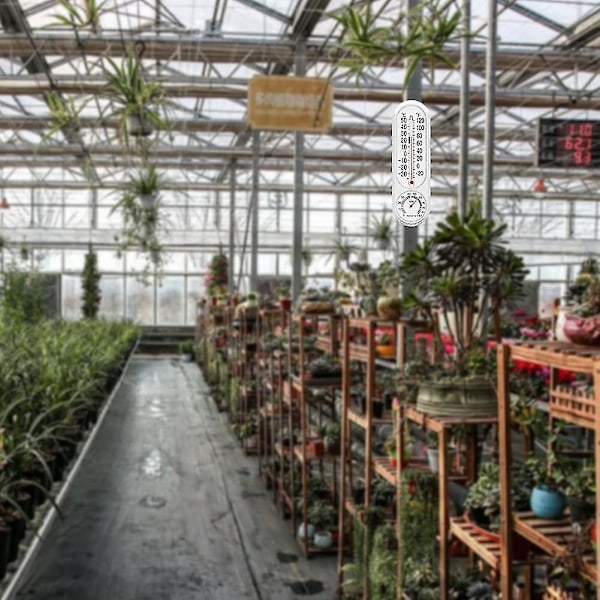 Jinyi Digital, Max Min Nemt at Montere En Plant Digital Temperatur Måler
