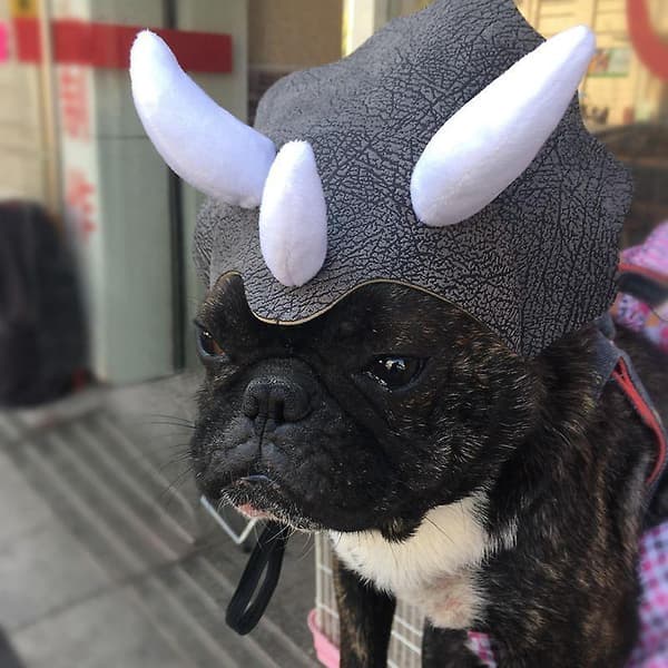 1 stk Dinosaurhatt for Hunder
