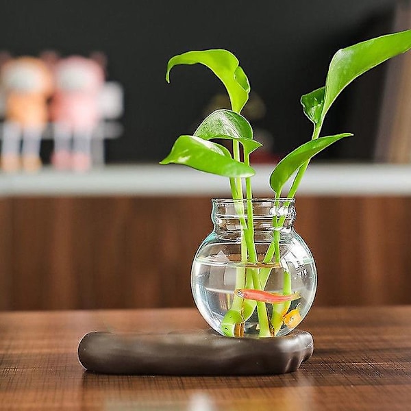 Søte Tegneseriemunker Figurer Glassvase Gjenbrukbar Selvvannende Blomsterpotte for Hjem Studie