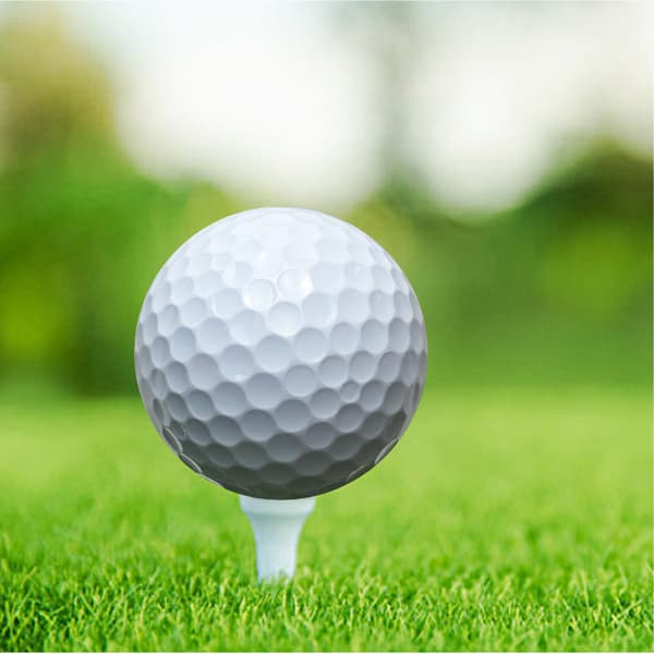 To-lags golfball, Salin, langdistanse, høy-elastisitet, dobbeltlags golfball.