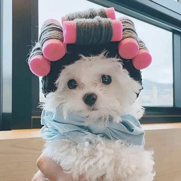Sød Tegneserie PET Hat til Små Hunde & Katte - Blød, Let Fest Hat med Sjovt Design