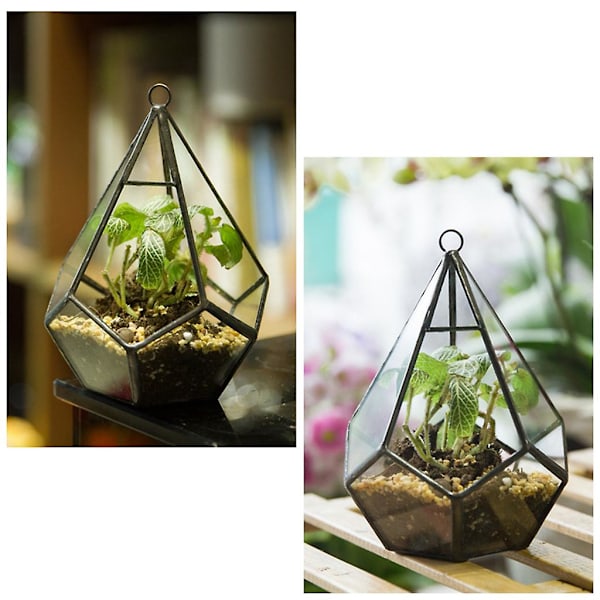 Hängande Glas Terrarium Modern Artistisk Vägg Tårform Diamant Geometrisk Polyh