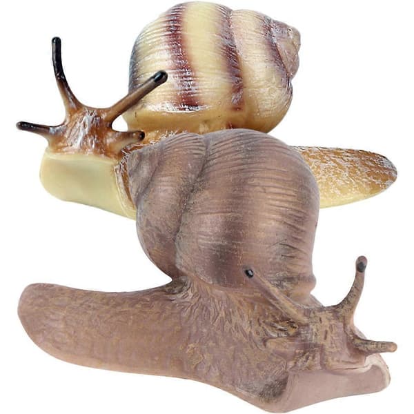2 st Simulerings Snigel Figur Snigel Figur Snigel Leksak Simuleringsdjur Utbildningsmodell