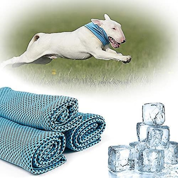 Jkfoi Pet Ice Collar For Summer, Soft Breathable Mesh Cooling Scarf For Puppy Ice Towels For Frenchie Bulldog Small Dogs (blue,medium)