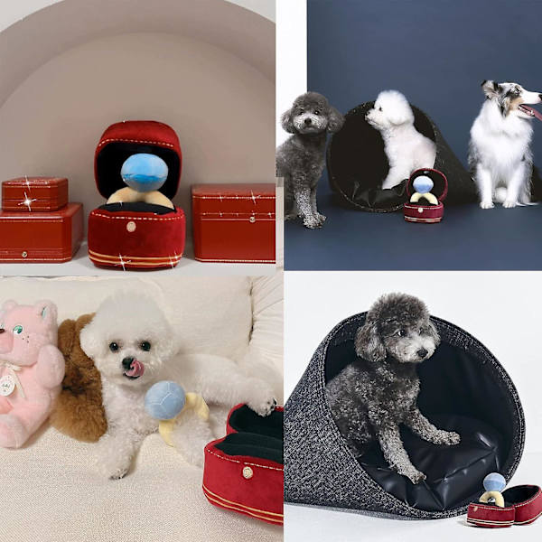 Squeak Plyschleksak, Intressant Diamantringfodral, Fylld Husdjursleksak Mjuk Husdjurstillbehör Hundleksak För Hundbröllop, Unika Gömma-Och-Leta Hundleksaker