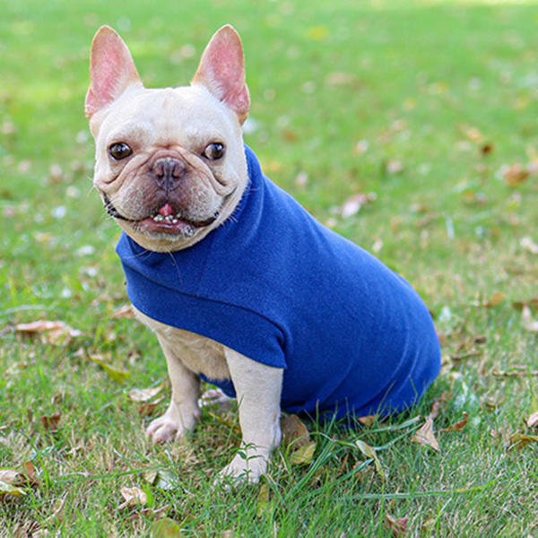Höstmode Enfärgad Ärmlös Varm Jacka Katt Hund T-shirt Husdjurskläder