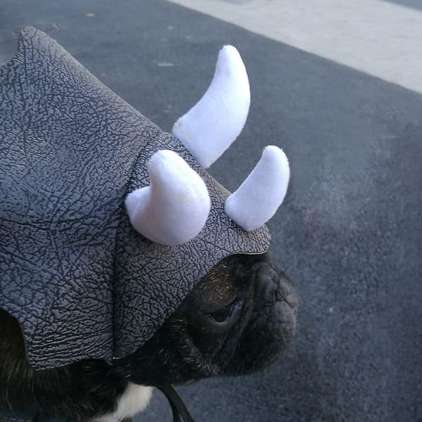 1 stk. Dinosaur Hat til Hunde