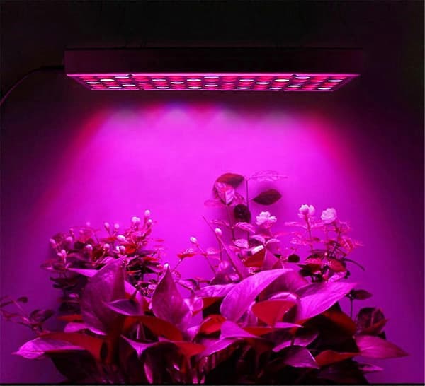 EU-reglerad Kartokner 25W LED Fullspektrum Växtbelysning