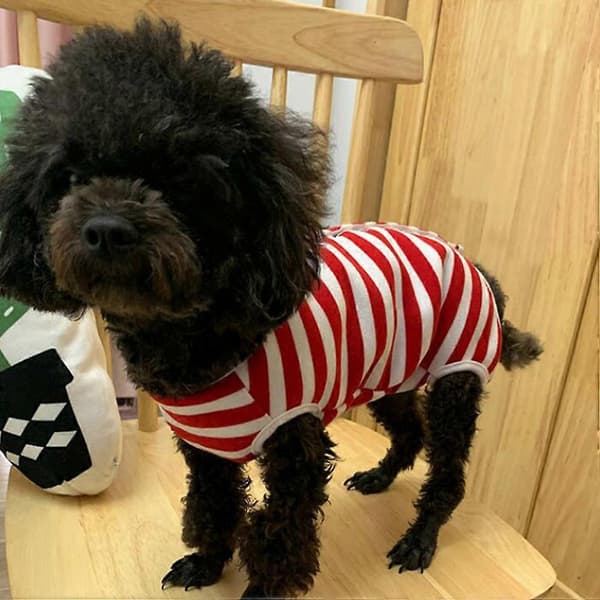 Hund Anti-slick Kostym Hund Sterilisering Kläder Husdjur Återhämtning Dräkt efter Operation