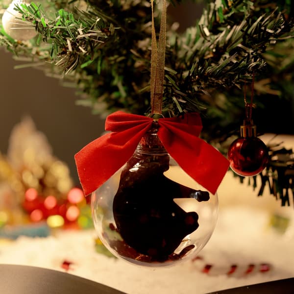 Morsom julegavepynt Juletrepynt gave