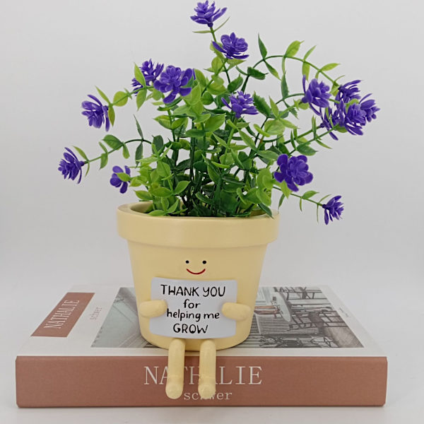 Mini Tack-Blomkruka Tack Liten Blomkruka Kaktus Sukkulenter Växtkruka Hem Kontor Skrivbordsdekoration