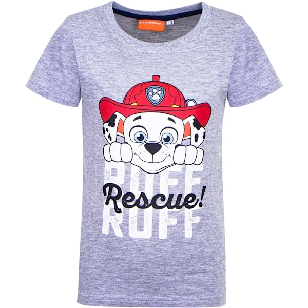 T-shirt Kortärmad - Paw Patrol 116 - ca 6år, Blå