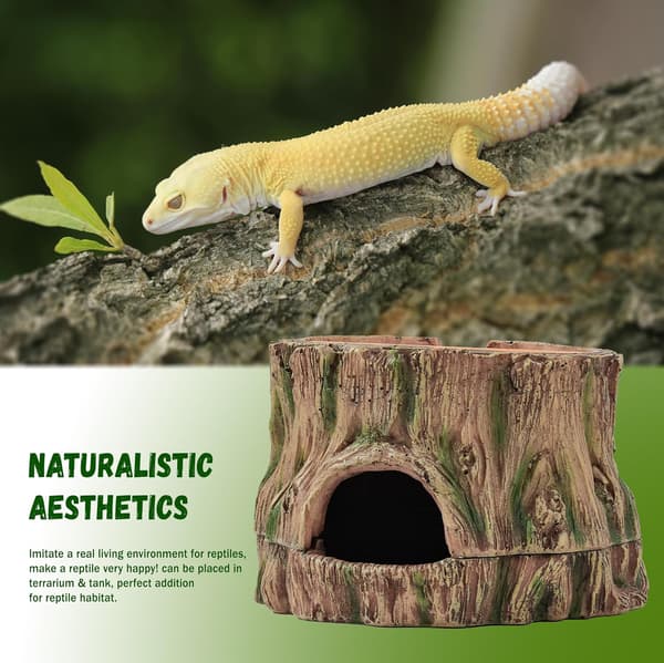 3-i-1 Leopardgekko Fuktig Gjemmested, Liten Reptil Hule