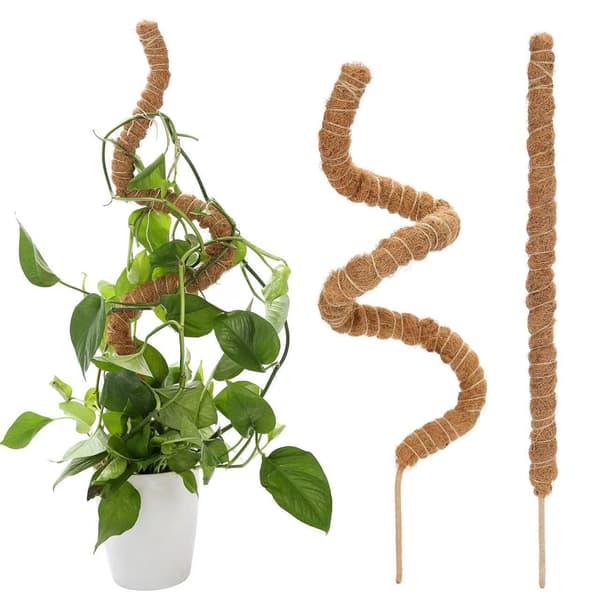 Flexibla kokosfiberpinnar formade som mossstammar för växtstöd, lämpliga för pothos och monstera.