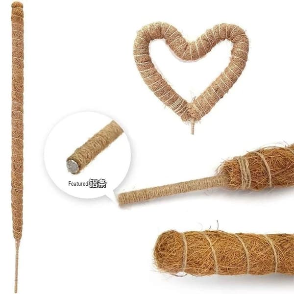 Flexibla kokosfiberpinnar formade som mossstammar för växtstöd, lämpliga för pothos och monstera.