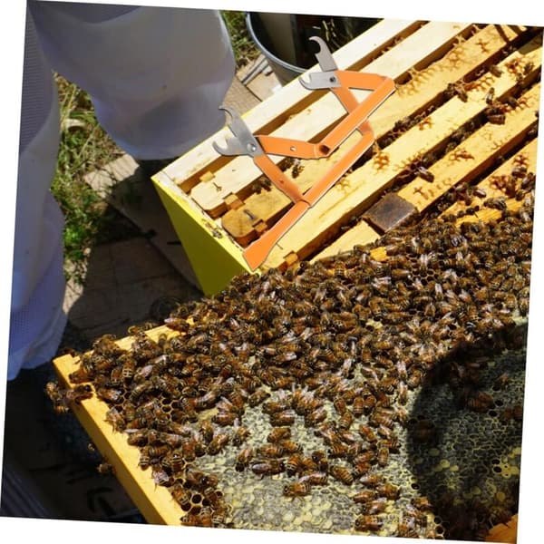Bikupa verktyg handtag biodlingsutrustning biodlingsverktyg
