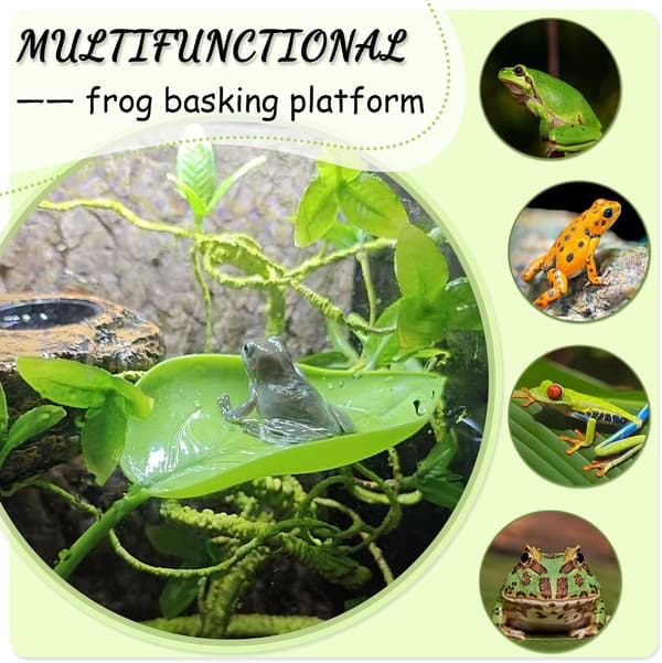Trefrosk Terrarium Tilbehør, 3 STK Skilpadde Solplattform
