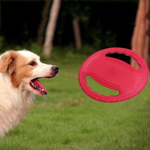 Hundeflaks med doble håndtak - rød
