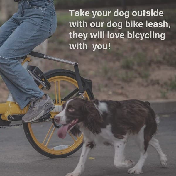 Infällbart cykelkoppel för hund, handsfree cykelkoppel - Perfekt