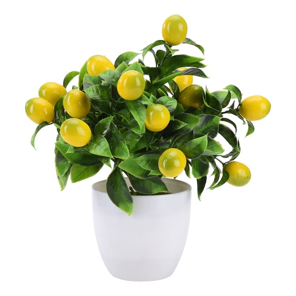 (2) Krukväxter med citronfrukt och hemgjord simulerad citronträd