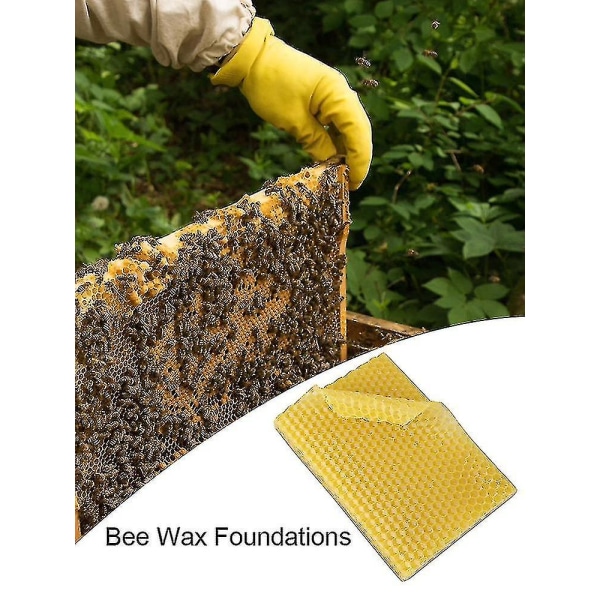 10 stk Bivoks Foundation Bikube Voksrammer Basisark Bee Comb Honningramme Bivoksark Biavlerutstyr A