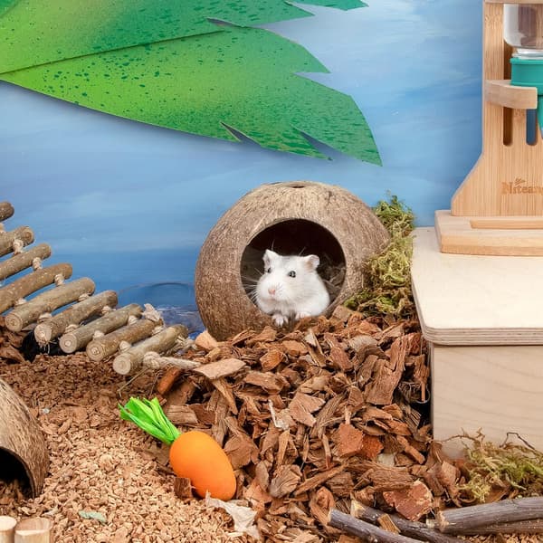 Kokosnøtthytte Hamsterhus Seng Naturlig Gerbil Gjemmested