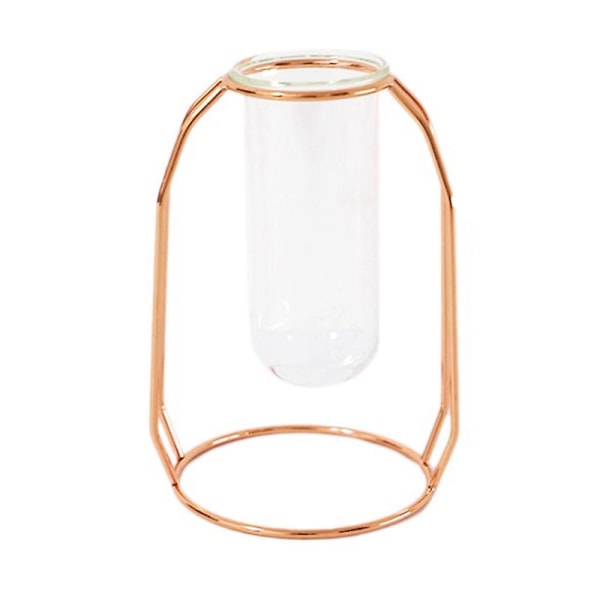S Creative Hydroponic Vase Nordic Ins Home Living Room Rose Gold