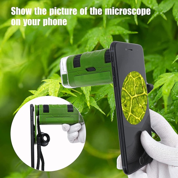 80~120x håndholdt mikroskop til børn og begyndere, bærbart minimikroskop (grønt)