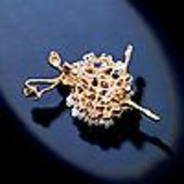 Kvinnors Brosch Ballerina Flicka Brosch Pin Badge Kristall Brosch Bröllop Brosch Damer Flickor Färgglada Blanka