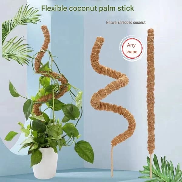 Flexibla kokosfiberpinnar formade som mossstammar för växtstöd, lämpliga för pothos och monstera.