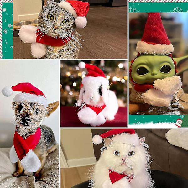 Julehatt med skjerf til katt - Julekostyme sett for valp hund katt julehatt