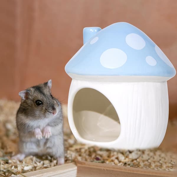 Keramisk gjemmested for hamster, tilbehør til små kjæledyr (blå)