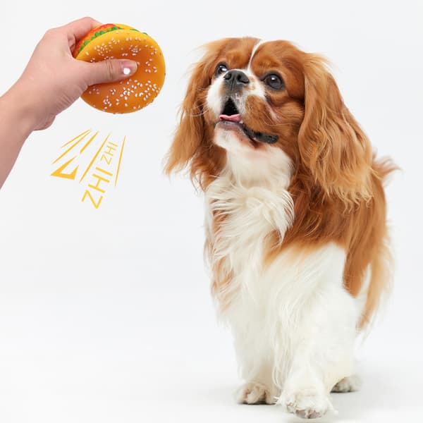Hundetyggelegetøj, hamburgerformet, laver en pibelyd, velegnet til interaktiv leg.