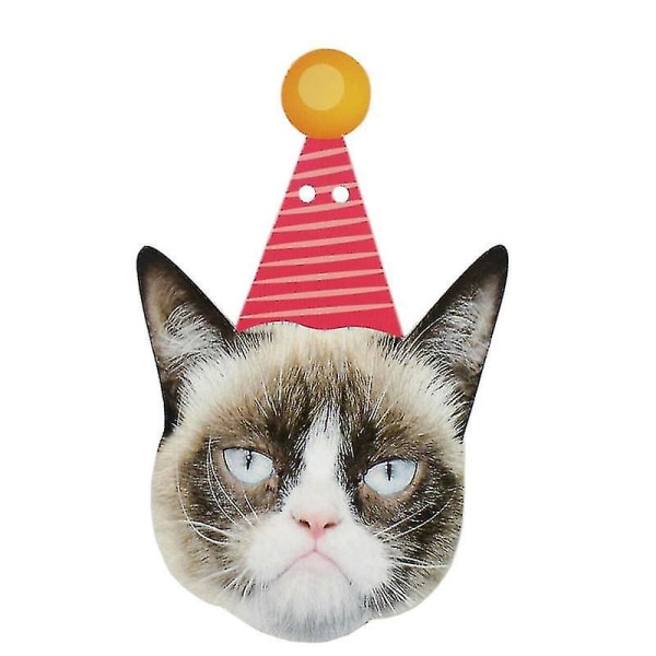 Fødselsdagskatekrans, fotografiske katteansigter Fødselsdagsbanner, killinger Bday Party Bunting Dekoration (8 stk) Bd