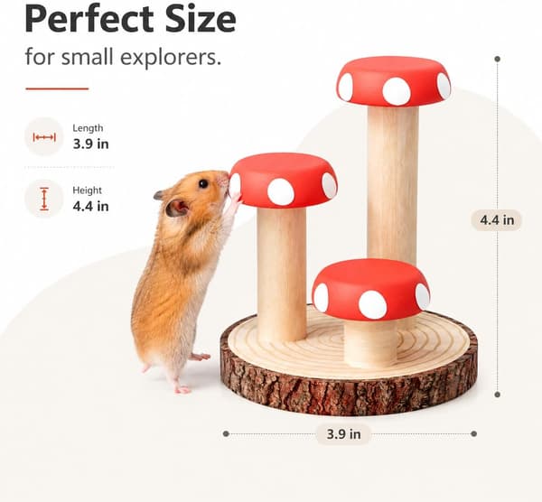 Hamsterin kiipeilylelu puinen pureskeluun, virikehäkin lisävaruste